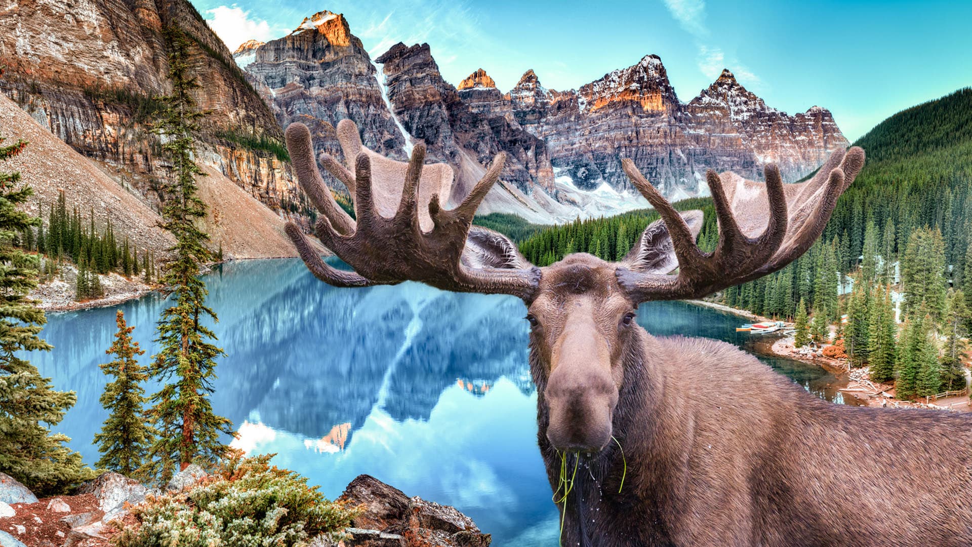 Spring is coming so it's nearly time for road trips! Here's our guide to must visit National Parks in Canada. Explore them in an RV for $1/day with Imoova.